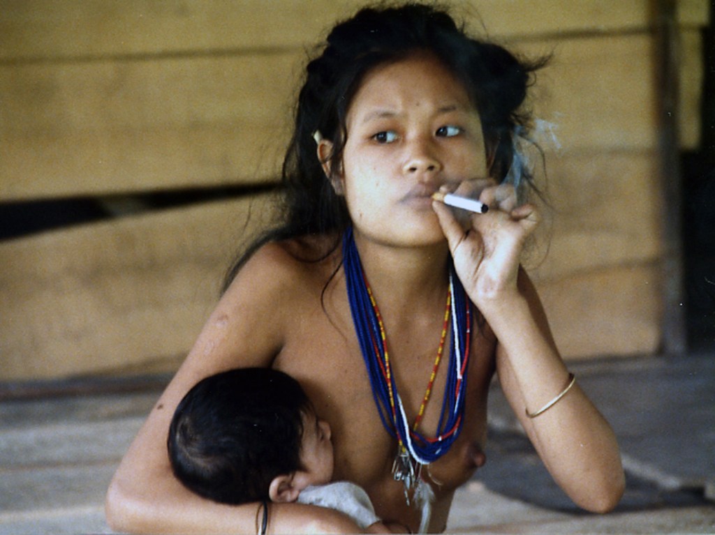 Mentawai Island Logging