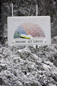 11659348_10153378699520552_4560013786124191846_n