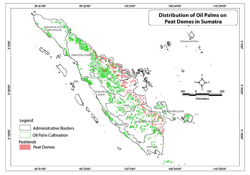 Oil palm map