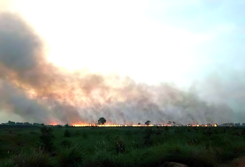 Jambi Province Sumatra where 90% of fires are deliberately&nbsp;lite