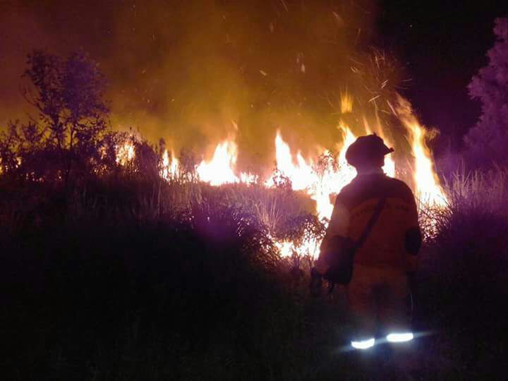 Memories of Fires&nbsp;Past