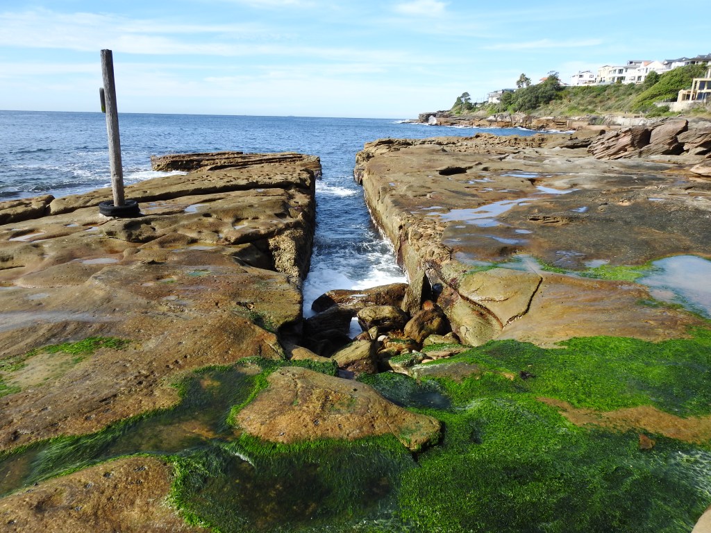 Electricity from Waves: Australia’s First&nbsp;Project