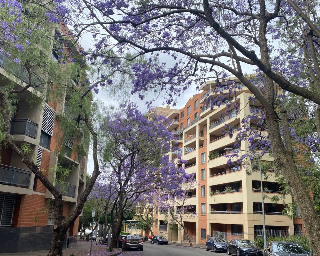 Pyrmont and Ultimo Proposed Planning&nbsp;Controls